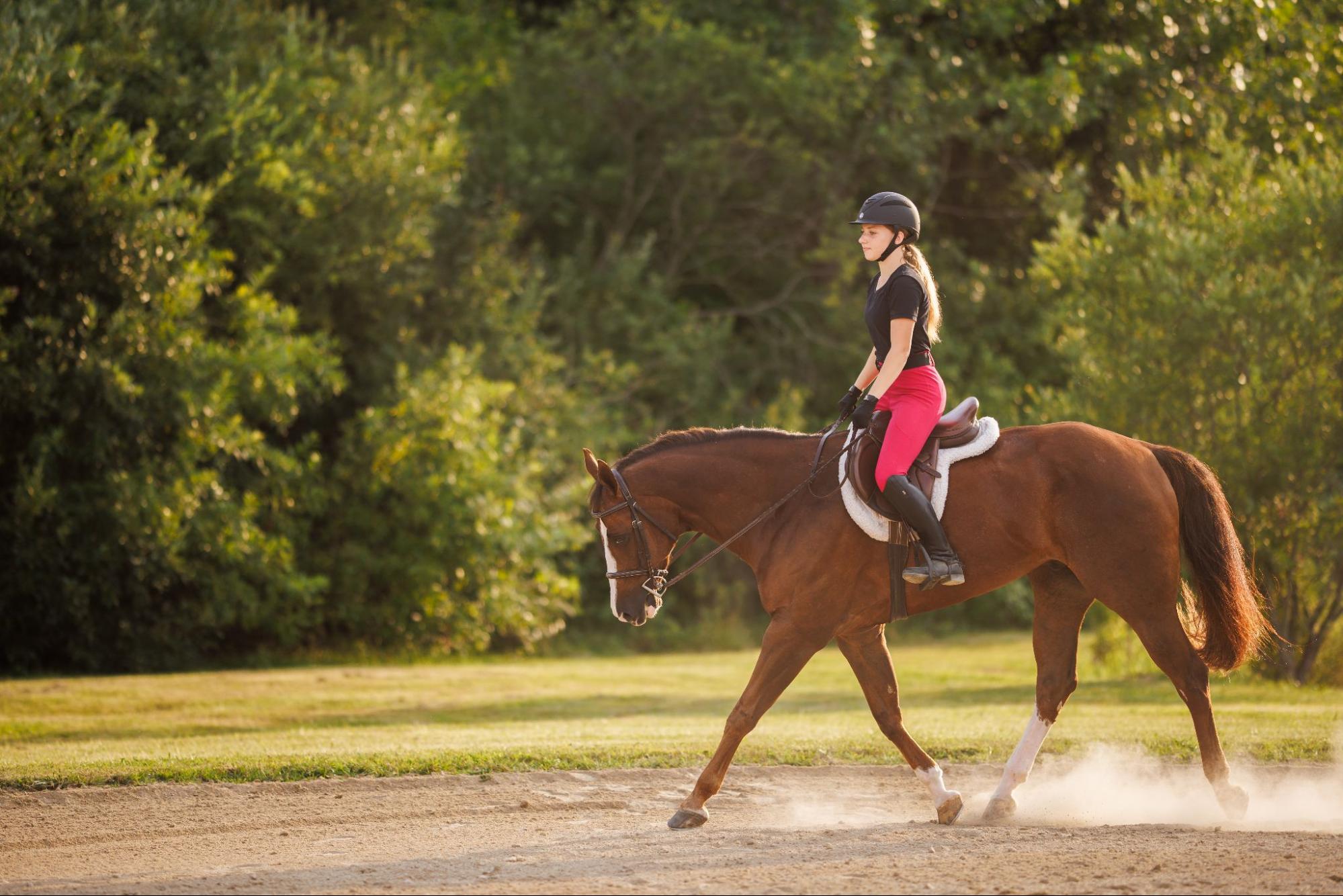 Basic Principles of Horseback Riding Body Position