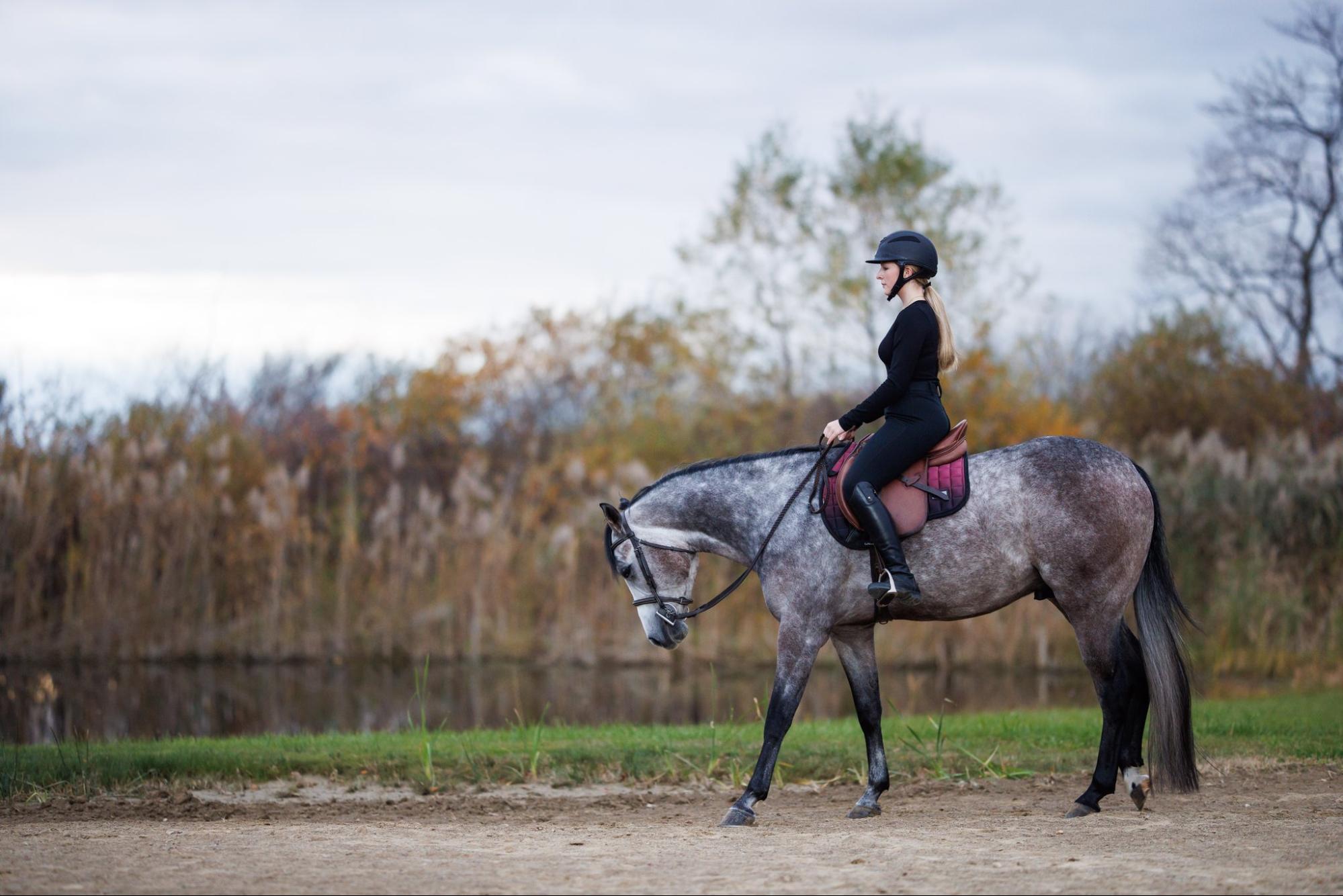 Tips for Winter Riding in Snow and Ice